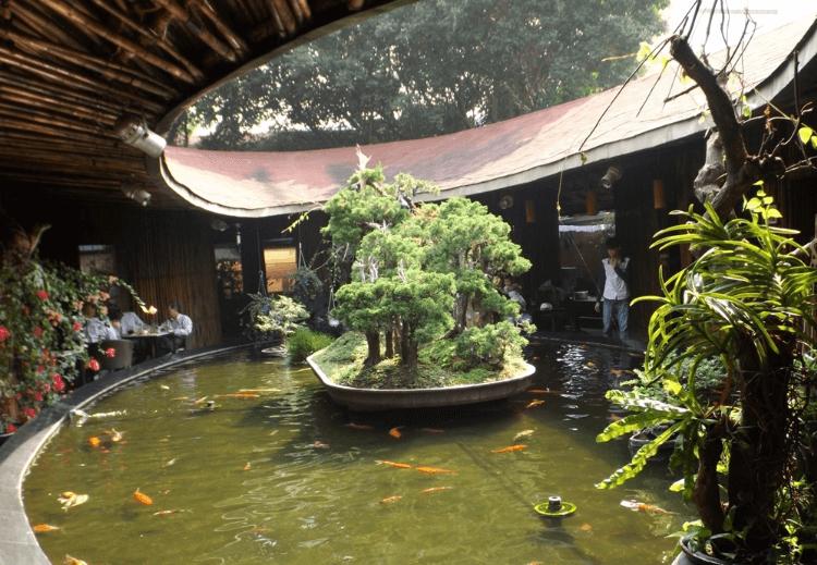 Sự kết hợp giữa cá Koi và bonsai ở Ellip Cafe