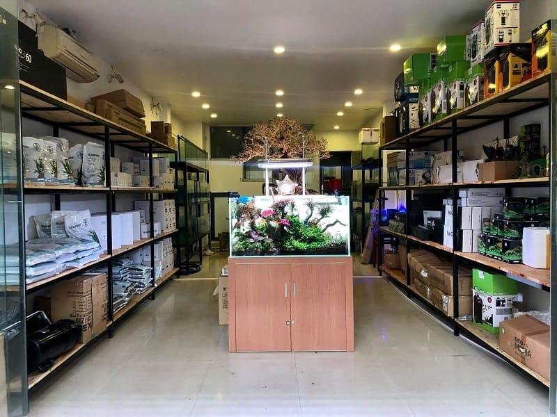 cửa hàng cá cảnh Hà Nội 2